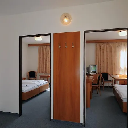 Congress&wellness Olsanka Hotel 4*