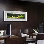 Otel Congress & Wellness Olsanka Prag