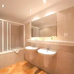 Otel Congress & Wellness Olsanka 4*