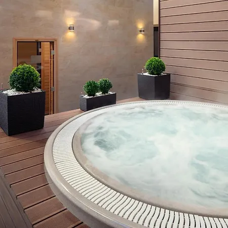 Hotel Congress & Wellness Olsanka 4*