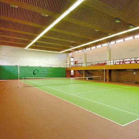 Hotel Congress & Wellness Olsanka 4*